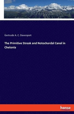 Gertrude A C Davenport, Gertrude A. C. Davenport - Primitive Streak and Notochordal Canal in Chelonia, Häftad