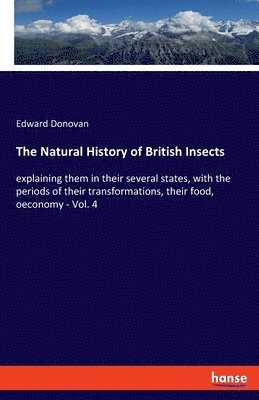 bokomslag Natural History of British Insects