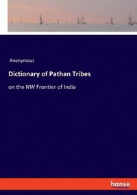bokomslag Dictionary of Pathan Tribes