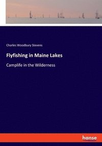 bokomslag Flyfishing in Maine Lakes