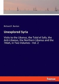 bokomslag Unexplored Syria