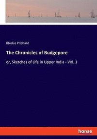 bokomslag The Chronicles of Budgepore