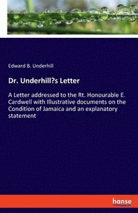 bokomslag Dr. Underhill's Letter