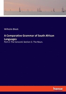 bokomslag A Comparative Grammar of South African Languages