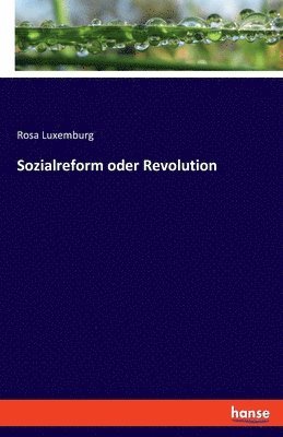 Sozialreform oder Revolution 1