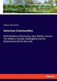 bokomslag American Communities