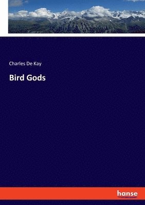 bokomslag Bird Gods