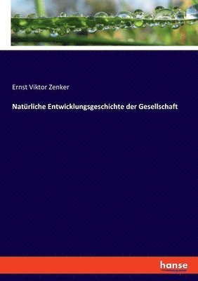 bokomslag Natrliche Entwicklungsgeschichte der Gesellschaft