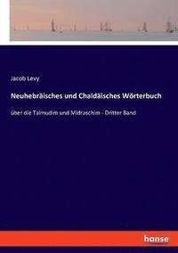bokomslag Neuhebrisches und Chaldisches Wrterbuch