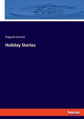 bokomslag Holiday Stories