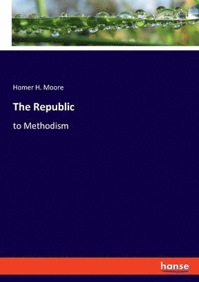 bokomslag Republic