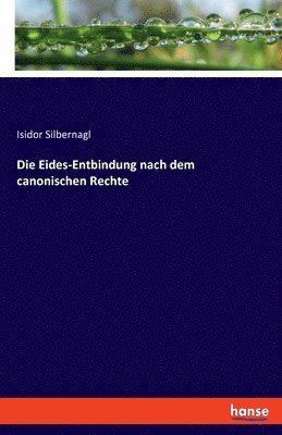 Eides-Entbindung nach dem canonischen Rechte