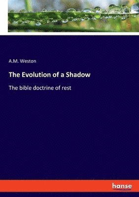 The Evolution of a Shadow 1