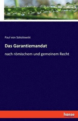 bokomslag Das Garantiemandat