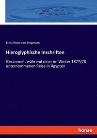 bokomslag Hieroglyphische Inschriften