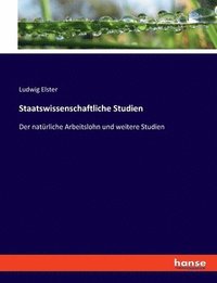 bokomslag Staatswissenschaftliche Studien