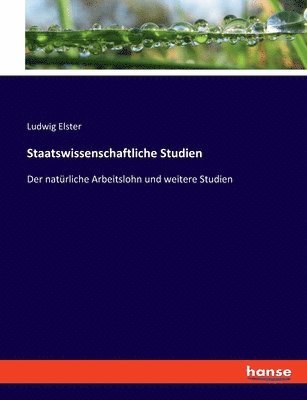 bokomslag Staatswissenschaftliche Studien