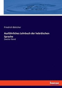 bokomslag Ausfhrliches Lehrbuch der hebrischen Sprache