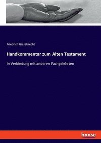 bokomslag Handkommentar zum Alten Testament