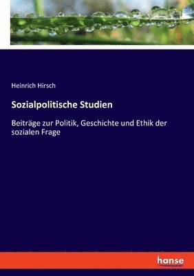 Heinrich Hirsch - Sozialpolitische Studien, Häftad
