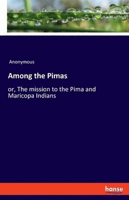Among the Pimas 1