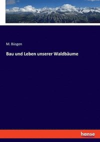 bokomslag Bau und Leben unserer Waldbume