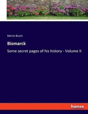 bokomslag Bismarck