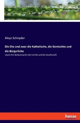 Aloys Schnyder - Ehe und zwar die Katholische, die Gemischte und die Bürgerliche, Häftad