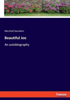 Beautiful Joe 1