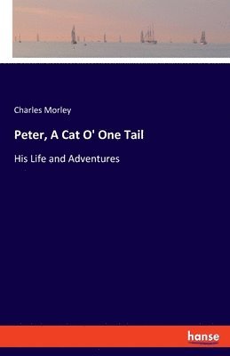 Peter, A Cat O' One Tail 1