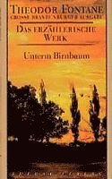 Theodor Fontane - Unterm Birnbaum, Inbunden