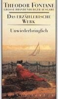 Theodor Fontane, Christine Hehle - Unwiederbringlich, Inbunden