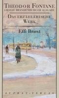 Theodor Fontane, Christine Hehle - Das erzählerische Werk 15. Effi Briest, Inbunden