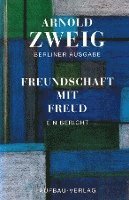 bokomslag Freundschaft mit Freud