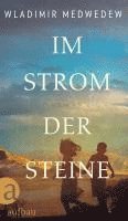 Im Strom der Steine 1