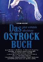 bokomslag Das jetzt wirklich allerletzte Ostrockbuch