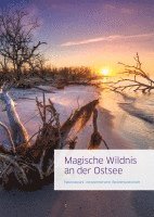 bokomslag Magische Wildnis an der Ostsee