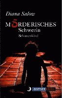 bokomslag Mörderisches Schwerin