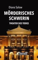 bokomslag Mörderisches Schwerin