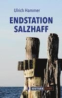 bokomslag Endstation Salzhaff