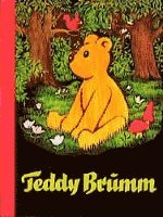 bokomslag Teddy Brumm