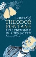 bokomslag Theodor Fontane