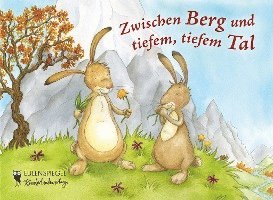 bokomslag Zwischen Berg und tiefem, tiefem Tal