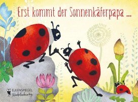 Erst kommt der Sonnenkäferpapa ... 1