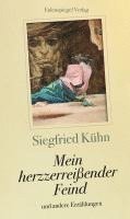 bokomslag Mein herzzerreißender Feind