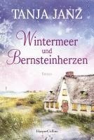 bokomslag Wintermeer und Bernsteinherzen