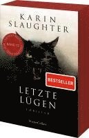 bokomslag Letzte Lügen