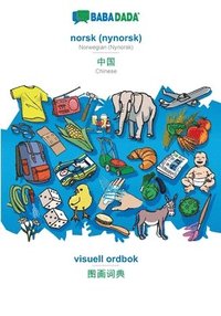 bokomslag norsk (nynorsk) - Chinese (in chinese script), visuell ordbok