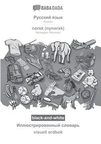 bokomslag Russian (in cyrillic script) - norsk (nynorsk), visual dictionary, BW