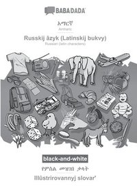 bokomslag Amharic (in Ge?ez script) - Russkij âzyk (Latinskij bukvy), visual dictionary, BW